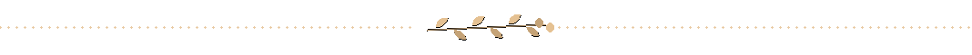 delimiter image